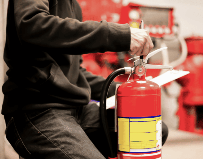 Serviced Fire Equipment - Professional Service