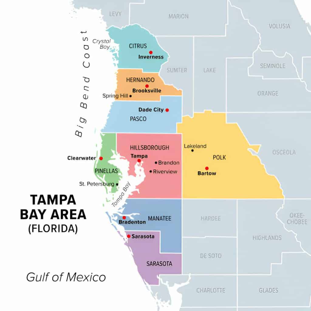 Tampa Bay Area